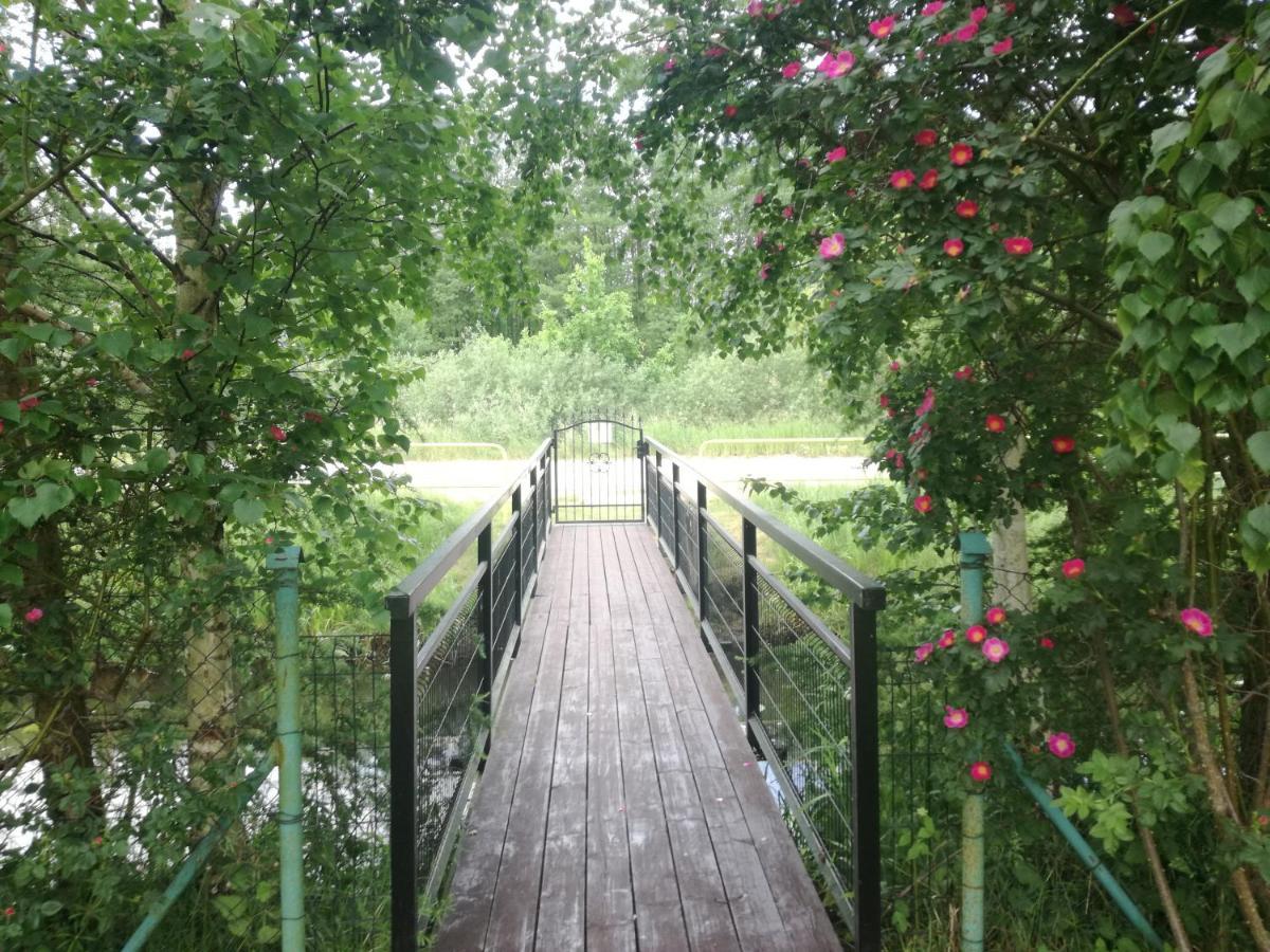 Majka Apartamento Dębki Exterior foto